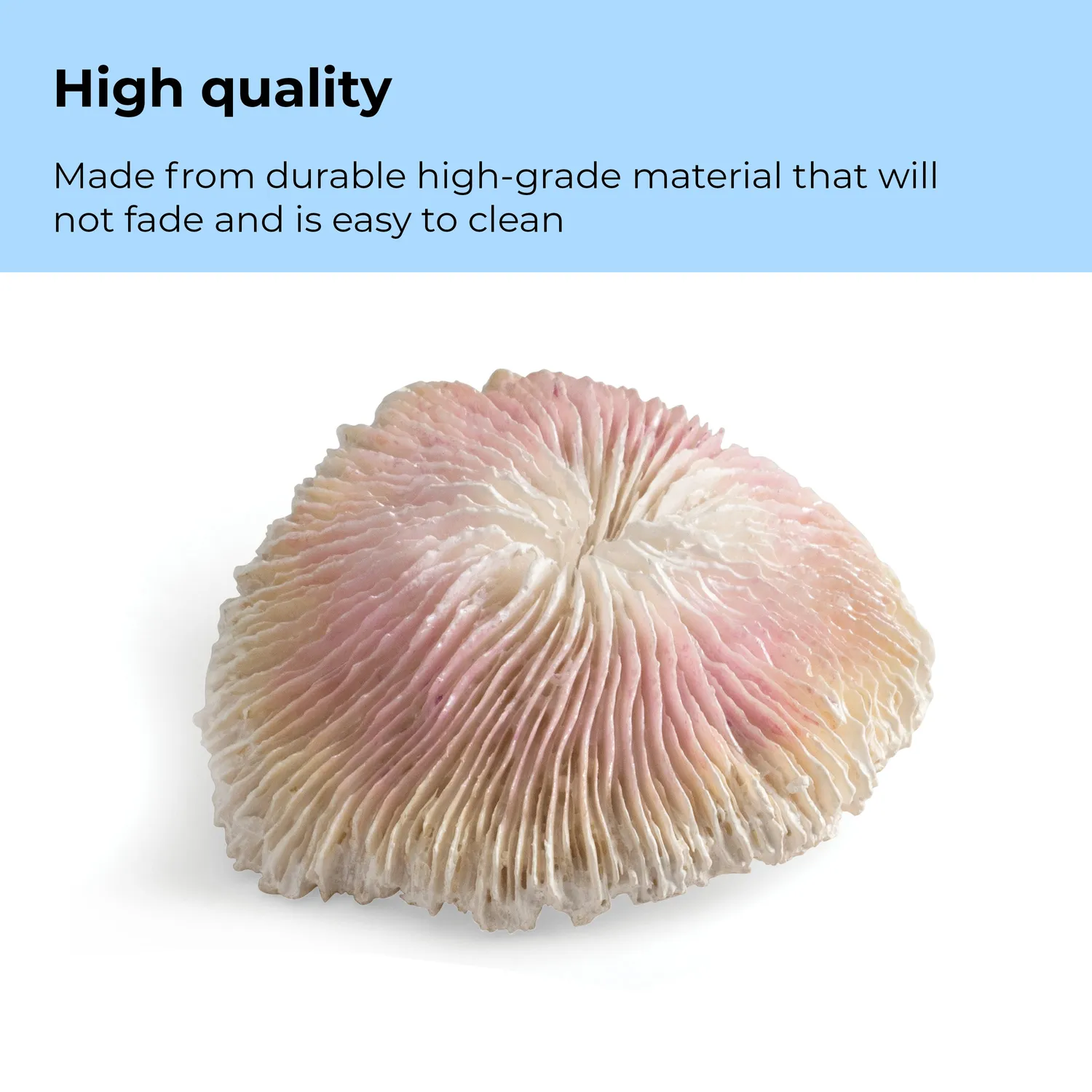 biOrb Plate Coral Set dekoration Natural 3-delar