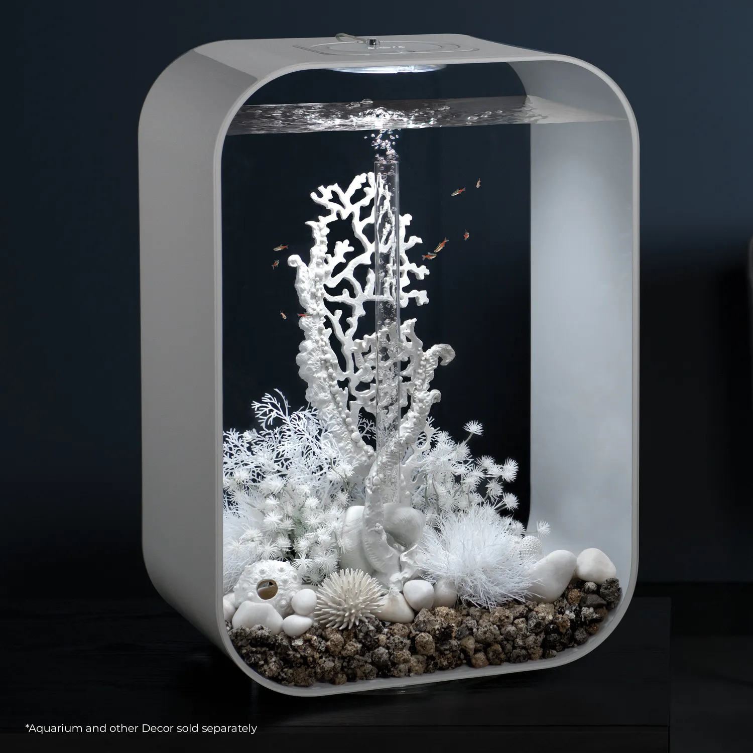 biOrb Sea Lily akvarieväxt blå