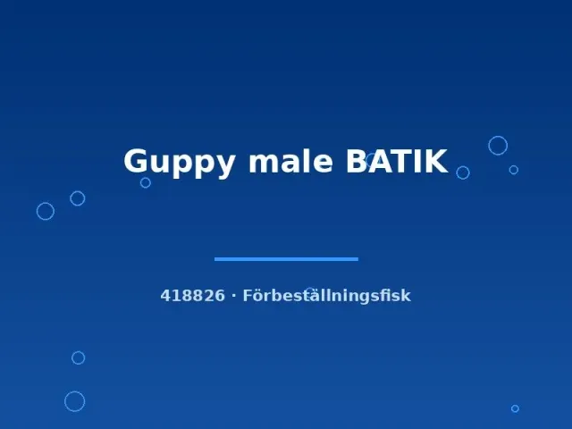 Näsets Ciklidhobby Guppy male Batik lg akvariefisk
