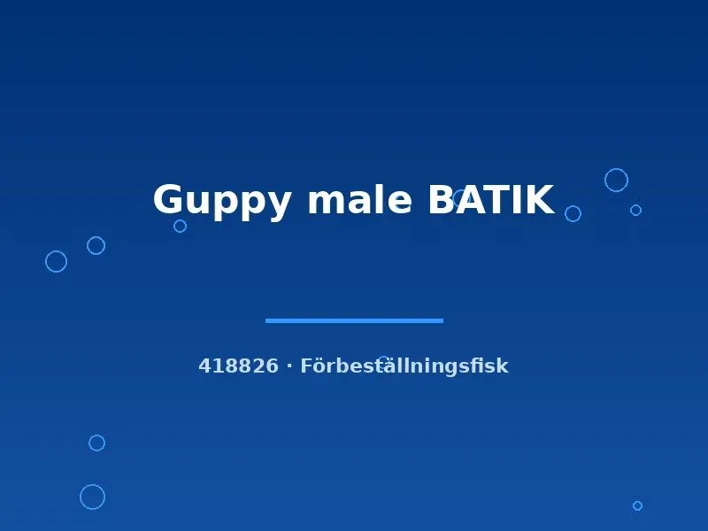 Näsets Ciklidhobby Guppy male Batik lg akvariefisk