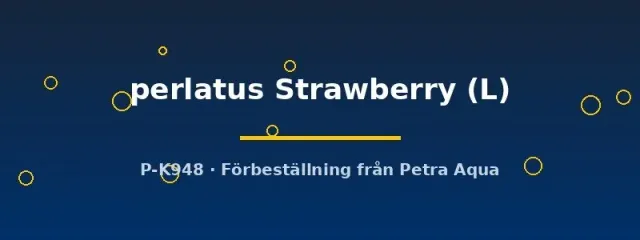 Coenobita perlatus strawberry eremitkrabba L