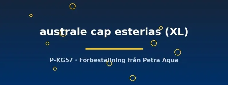Näsets Ciklidhobby Aphyosemion australe Cap Esterias killifisk XL