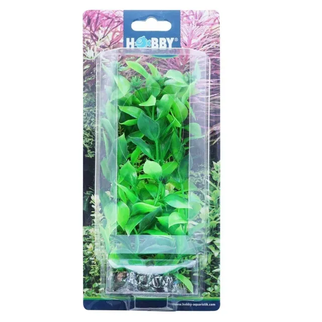 Hobby Hygrophila dekorväxt 20 cm plast
