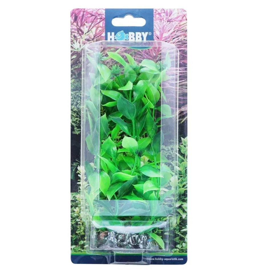 Hobby Hygrophila dekorväxt 20 cm plast