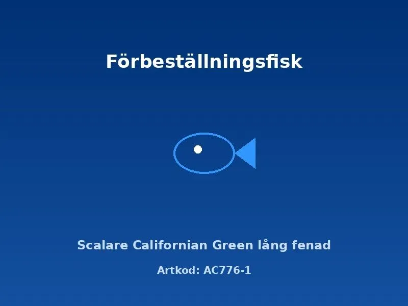 Näsets Ciklidhobby Scalare Californian Green skalar 3–3,5 cm