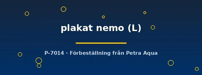 Näsets Ciklidhobby Betta spl Plakat Nemo L kampfisk