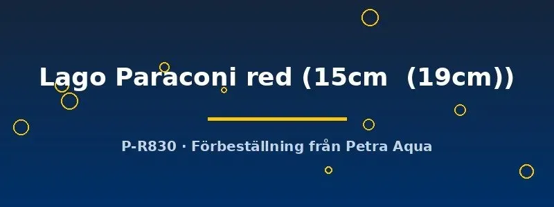 Näsets Ciklidhobby Symphysodon Lago Paraconi red diskus 15–19 cm