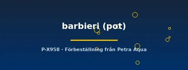 Näsets Ciklidhobby Taxiphyllum barbieri mossa pot tålig