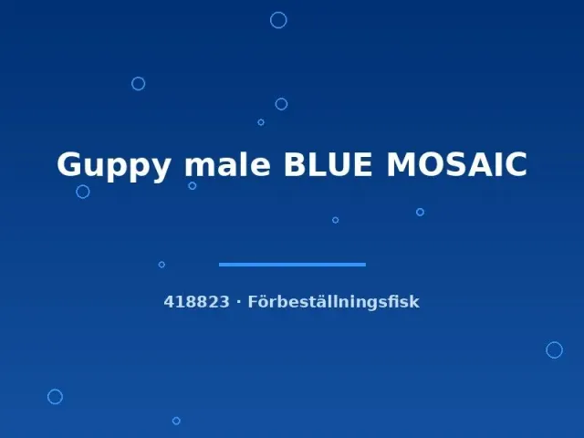 Näsets Ciklidhobby Guppy Blue Mosaic hane akvariefisk lg