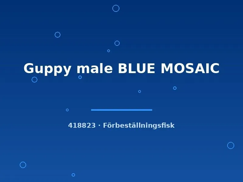 Näsets Ciklidhobby Guppy Blue Mosaic hane akvariefisk lg