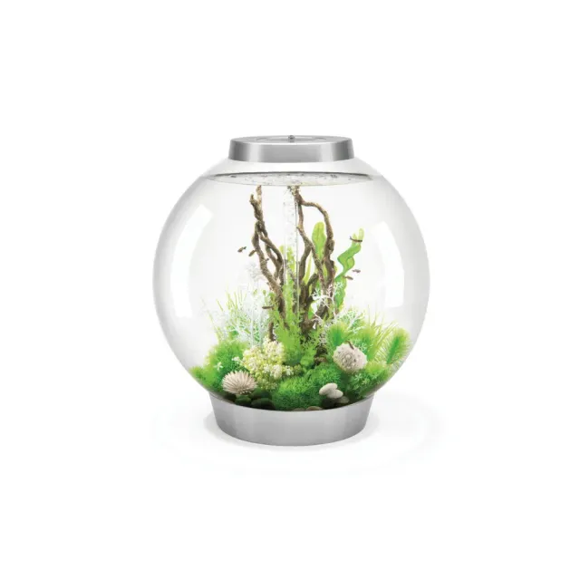 biOrb Classic 105 MCR akvarium 105 liter silver