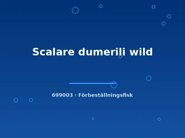 Näsets Ciklidhobby Scalare dumerili wild md-lg akvariefisk