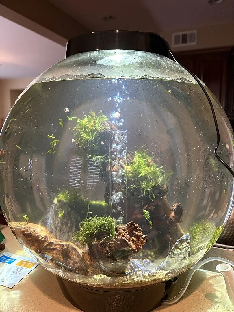 biOrb Classic 30 akvarium 30 liter svart standardljus