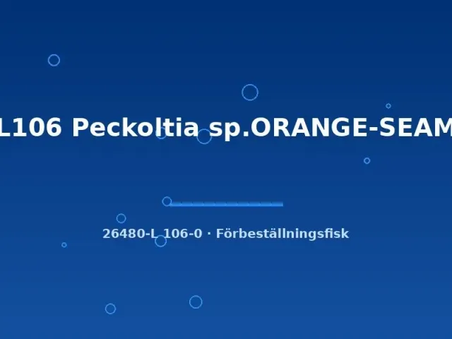 Näsets Ciklidhobby L106 Peckoltia Orange-Seam mal 3–5 cm