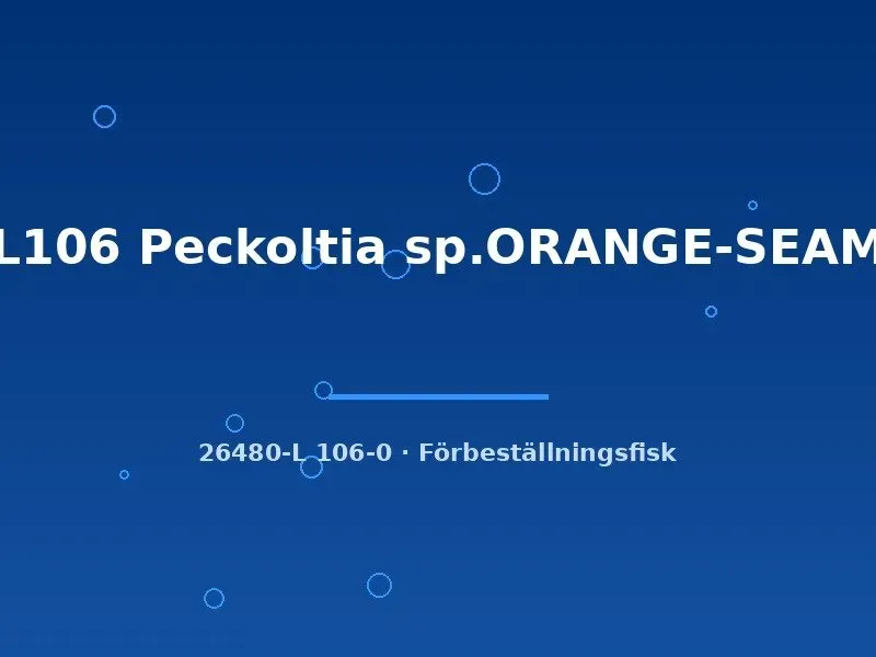 Näsets Ciklidhobby L106 Peckoltia Orange-Seam mal 3–5 cm