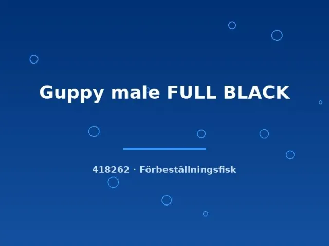Näsets Ciklidhobby Guppy Full Black Male LG akvariefisk helsvart