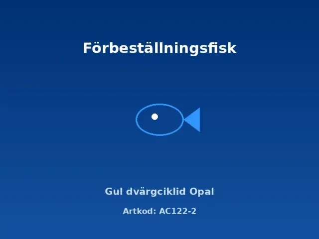 Näsets Ciklidhobby Apistogramma borellii Opal ciklid 3,5cm