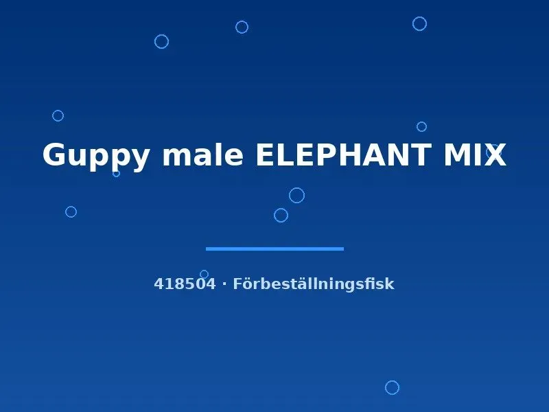 Näsets Ciklidhobby Guppy Elephant Mix hane md-lg