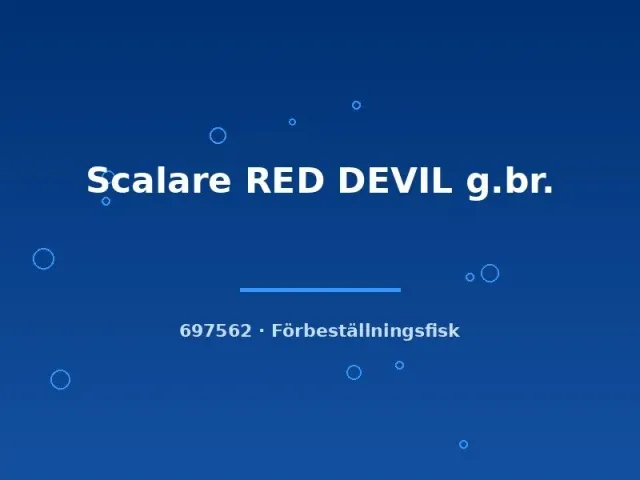 Näsets Ciklidhobby Red Devil skalar md