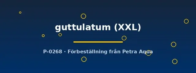 Näsets Ciklidhobby Amatitlan Cichlasoma guttulatum XXL ciklid