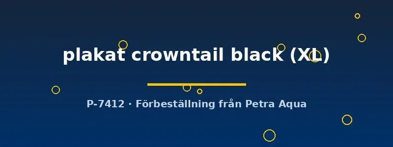 Betta plakat crowntail kampfisk hane black XL