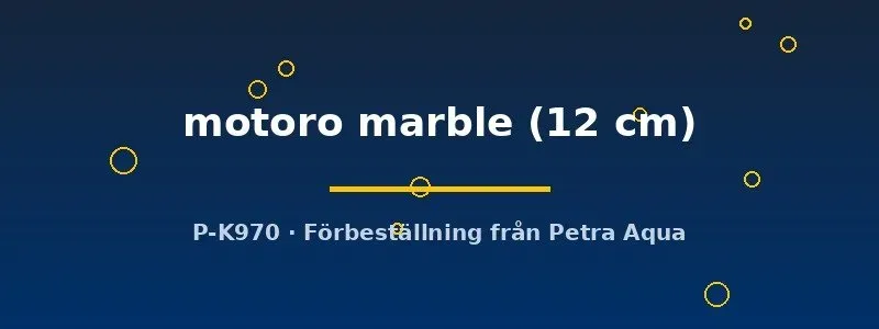 Potamotrygon motoro marble stingrocka 12 cm sötvatten