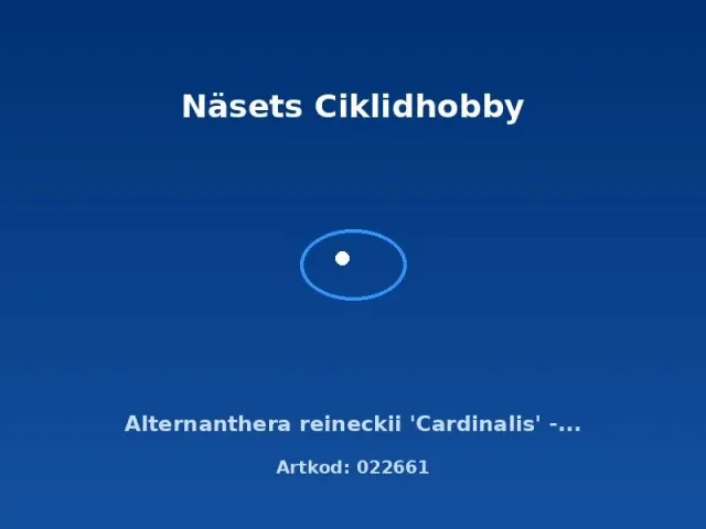 Näsets Ciklidhobby Alternanthera reineckii Cardinalis akvarieväxt PE