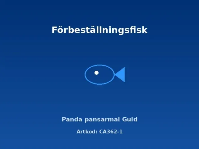 Näsets Ciklidhobby Panda Guld pansarmal akvariefisk 2,5–3 cm