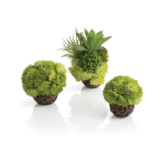 biOrb Coral Ball akvariedekoration 3-pack grön