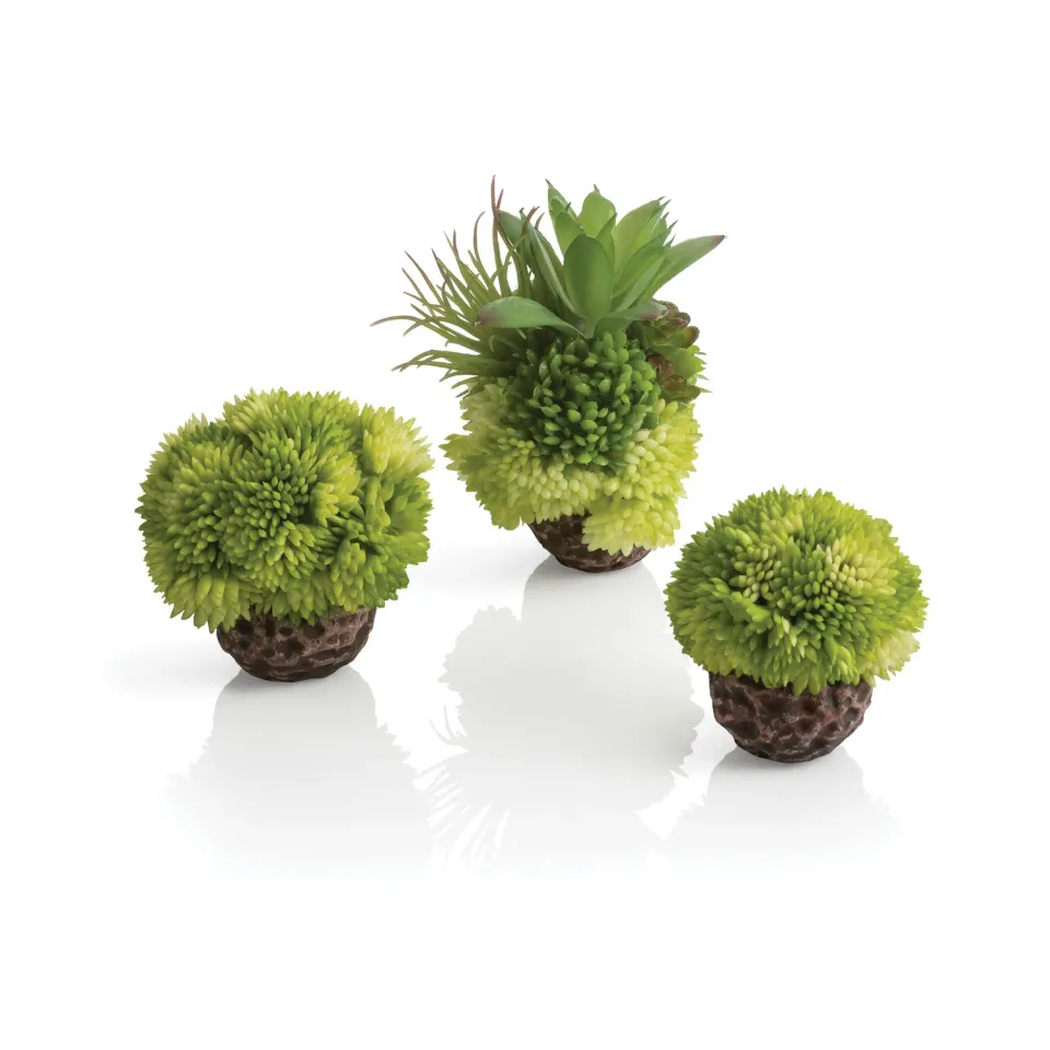 biOrb Coral Ball akvariedekoration 3-pack grön