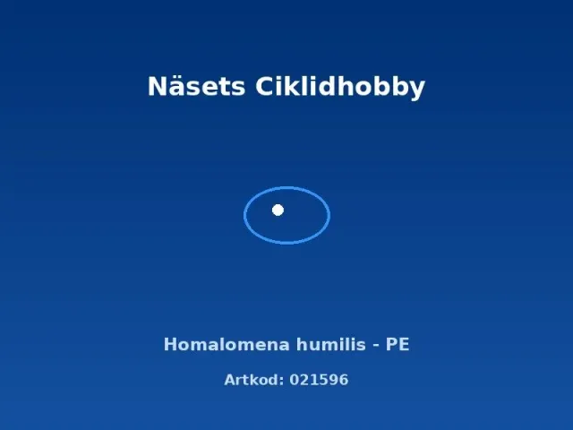 Näsets Ciklidhobby Homalomena humilis akvarieväxt PE grön