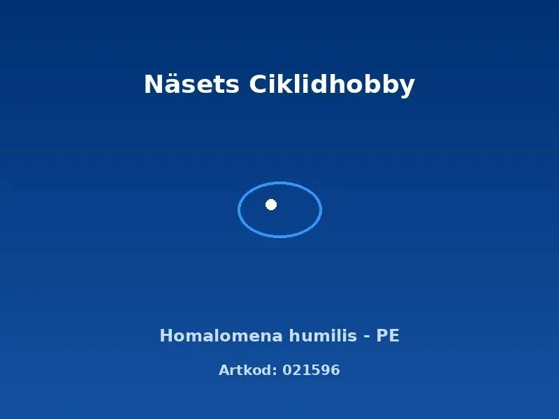 Näsets Ciklidhobby Homalomena humilis akvarieväxt PE grön