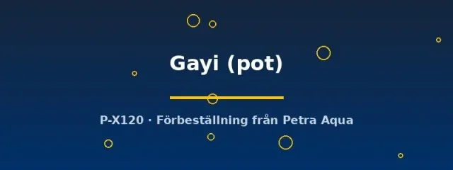 Näsets Ciklidhobby Potamogeton Gayi akvarieväxt pot