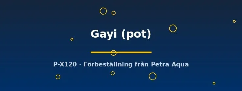 Näsets Ciklidhobby Potamogeton Gayi akvarieväxt pot