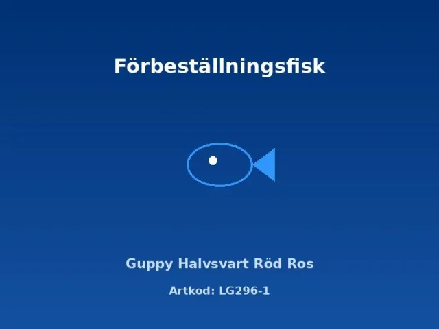 Näsets Guppy Halvsvart Röd Ros akvariefisk par 3–3,5 cm