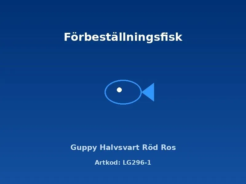 Näsets Guppy Halvsvart Röd Ros akvariefisk par 3–3,5 cm
