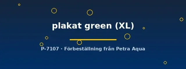 Betta spl. male plakat green kampfisk XL hane