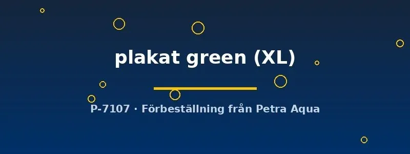 Betta spl. male plakat green kampfisk XL hane