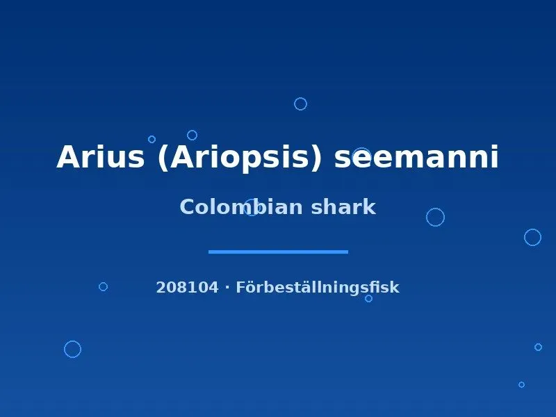 Näsets Ciklidhobby Colombian shark Arius seemanni mal 6–8 cm bräck