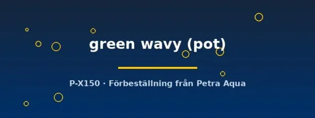 Näsets Ciklidhobby Bucephalandra green wavy kruka växt