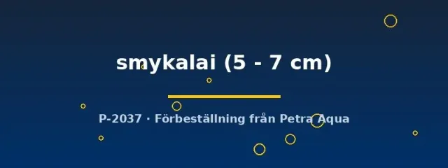 Näsets Ciklidhobby Alestopetersius smykalai akvariefisk 5–7 cm stim