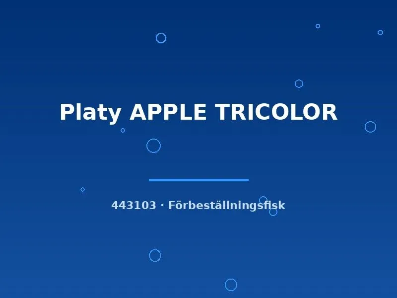 Näsets Ciklidhobby Platy Apple Tricolor lg trefärgad