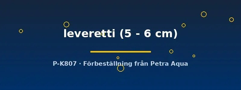 Näsets Beaufortia leveretti bottenfisk 5–6 cm algätare