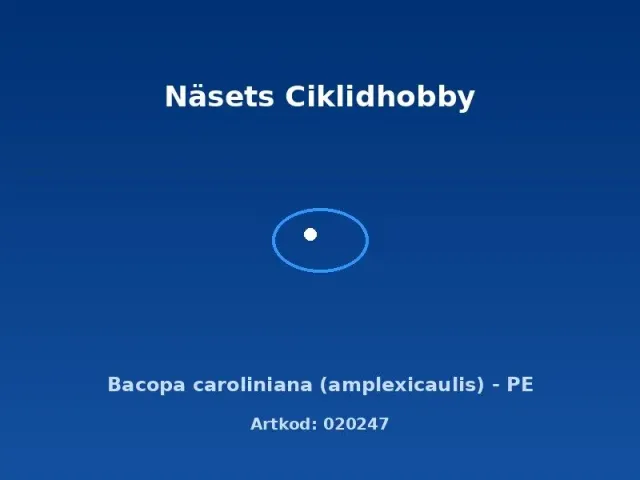 Näsets Ciklidhobby Bacopa caroliniana akvarieväxt PE