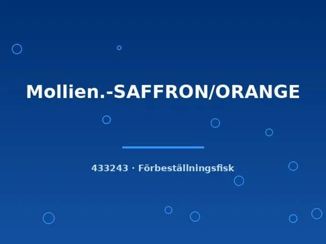 Näsets Ciklidhobby Molly Saffron Orange akvariefisk lg