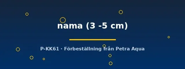 Näsets Ciklidhobby Chanda nama akvariefisk 3–5 cm glasfisk
