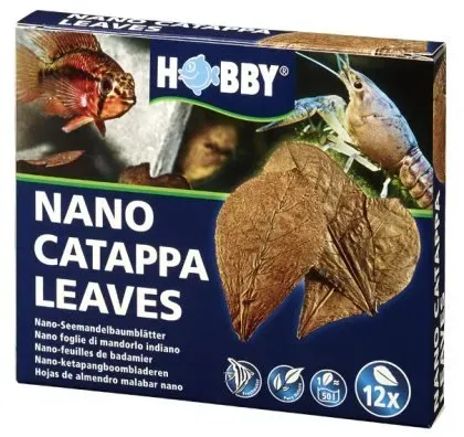 Hobby Catappa Leaves Nano catappablad 12-pack brun