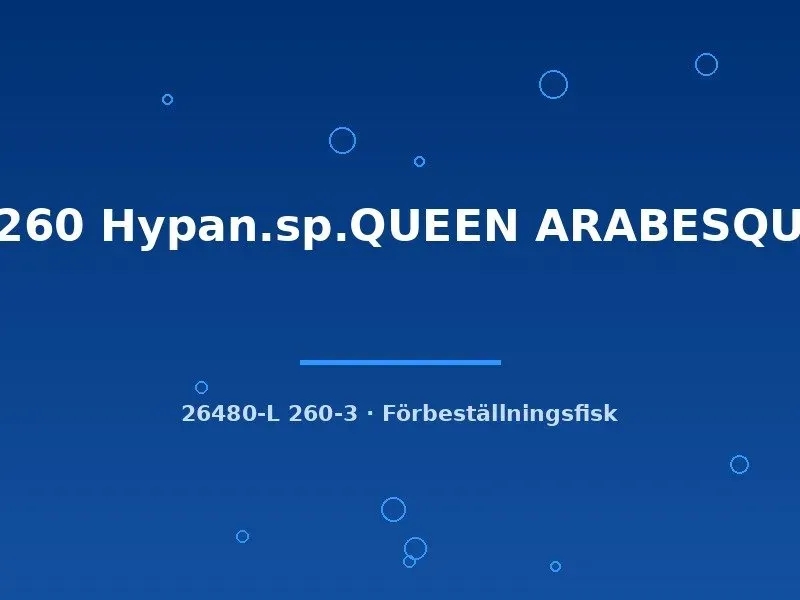 Näsets L260 Queen Arabesque mal 7–10 cm Hypancistrus