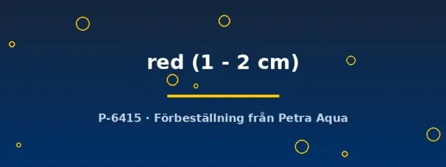 Näsets Ciklidhobby Endler Red akvariefisk 1–2 cm livlig