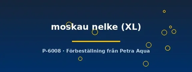 Näsets Ciklidhobby Moskau Nelke guppy hona XL show